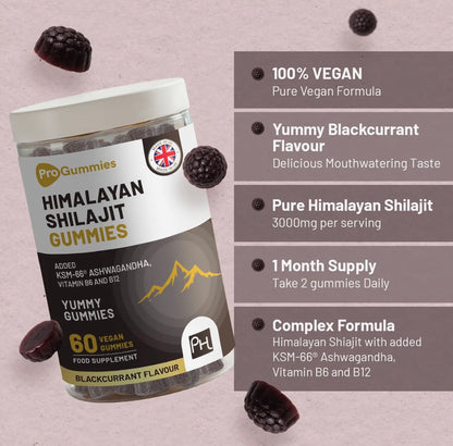 Premium Shilajit Gummies met Ashwagandha & Vitamine B12