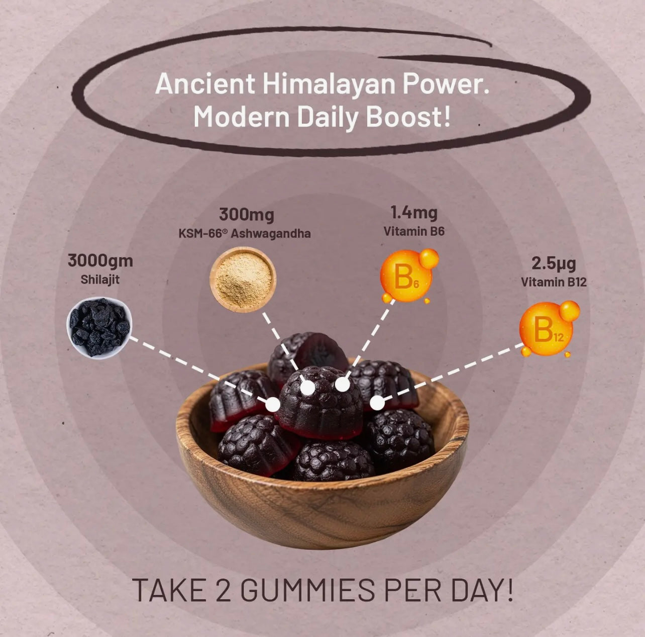 Premium Shilajit Gummies met Ashwagandha & Vitamine B12