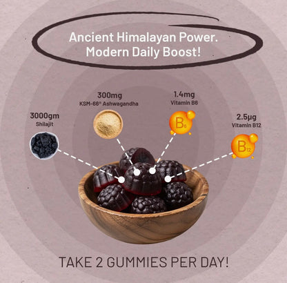 Premium Shilajit Gummies met Ashwagandha & Vitamine B12